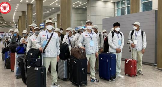 Các nội dung hoạt động dịch vụ đưa người lao động Việt Nam đi làm việc ở nước ngoài theo hợp đồng mới nhất