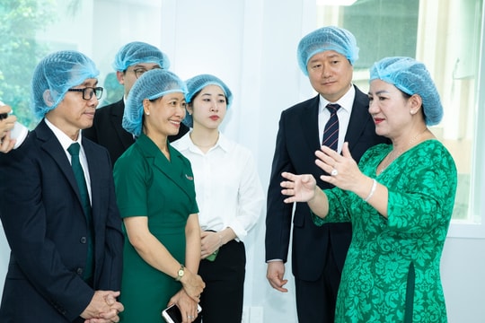 Dược phẩm OPC muốn chi 4 triệu USD xây dựng trung tâm dược liệu số hoá, “bắt tay” đối tác Hàn nghiên cứu Sâm Ngọc Linh