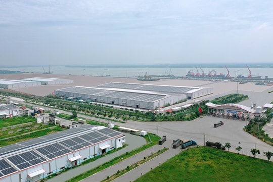 Phó Thủ tướng chấp thuận tỉnh Long An được chuyển hơn 200 ha đất trồng lúa sang làm dự án KCN Đông Nam Á