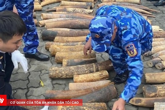 Lĩnh 10 năm tù vì buôn bán hơn 600kg ngà voi