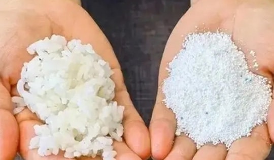 Cách diệt gián cực kỳ hiệu quả bằng cơm nguội và bột giặt