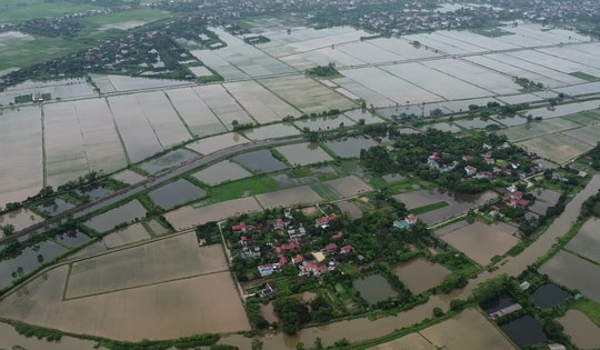 Loạt ruộng lúa ở Nam Định ngập trong nước dài ngày