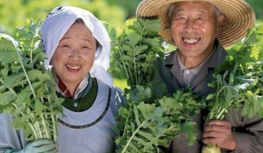 6 loại rau giúp xương chắc khỏe, phụ nữ sau 40 tuổi nên bổ sung hàng ngày