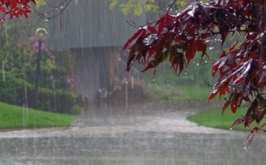 Cả nước có mưa, nhiều nơi mưa to