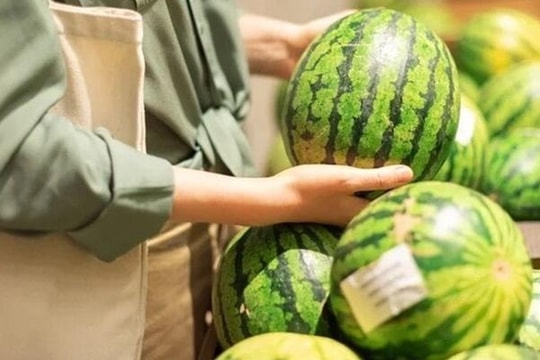 Vì sao vỗ vào quả dưa hấu là biết được quả nào ngon ngọt?