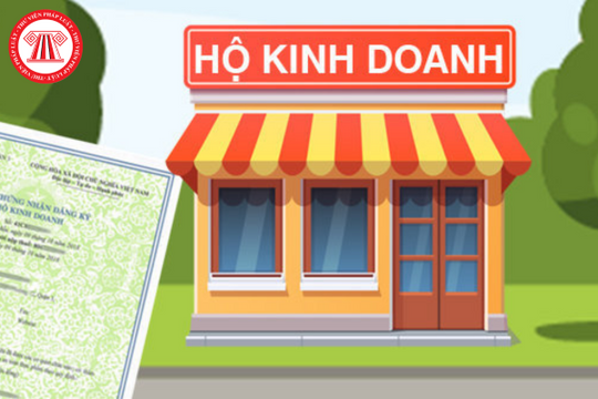 Năm 2024, cá nhân có thể đồng thời là chủ doanh nghiệp tư nhân và chủ hộ kinh doanh hay không?