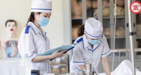 Hướng dẫn xác định ngưỡng bảo đảm chất lượng đầu vào đối với nhóm ngành sức khỏe có cấp chứng chỉ hành nghề năm 2024