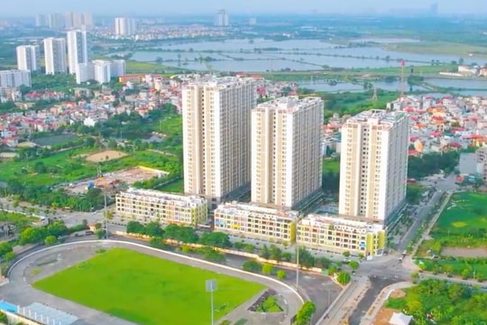 Hà Nội muốn mời đầu tư dự án KĐT hơn 4.400 tỷ ở huyện Thanh Trì, sẽ có tòa NOXH 8 tầng với khoảng hơn 500 căn hộ