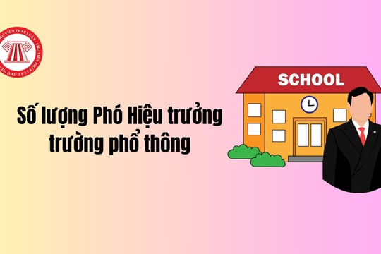 Từ 01/9/2024, những trường phổ thông này được bổ nhiệm 3 phó hiệu trưởng