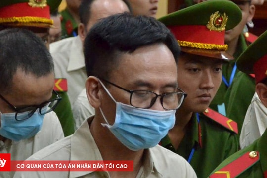 Bị cáo Trần Kỳ Hình không đồng ý số tiền phải chịu trách nhiệm