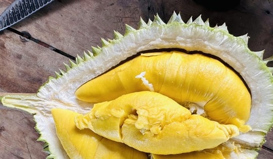 Sầu riêng 'vua' rớt giá thê thảm; 'thần dược’ được Lào, Đài Loan ồ ạt nhập khẩu