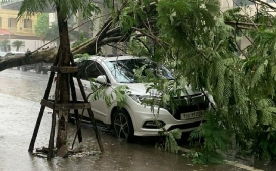 Bão đổ bộ Quảng Ninh, gây mưa diện rộng