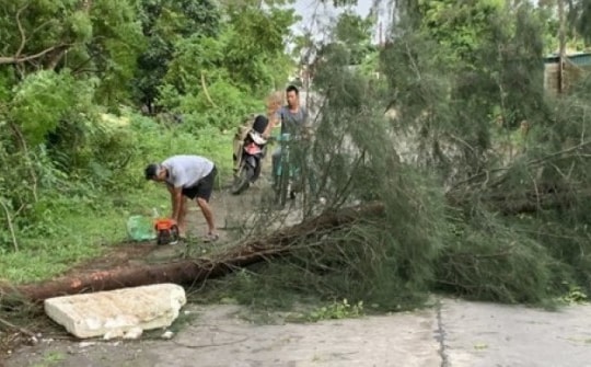 Những thiệt hại ban đầu khi bão số 2 đổ bộ Quảng Ninh