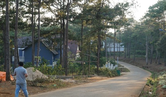 Thu hồi thông báo giới thiệu 39 lô đất làm biệt thự ở Măng Đen