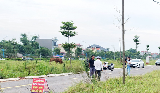 Huyện ngoại thành Hà Nội liên tục đấu giá đất, chuyên gia cảnh báo rủi ro