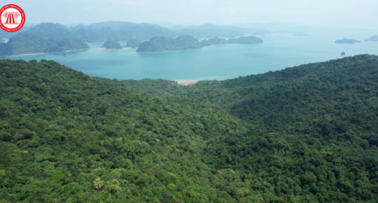 Tiêu chí các phân khu chức năng của vườn quốc gia, khu dự trữ thiên nhiên và khu bảo tồn loài - sinh cảnh từ ngày 18/7/2024