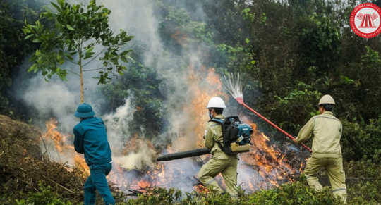 Quy định về phòng cháy và chữa cháy rừng trong công tác bảo vệ rừng
