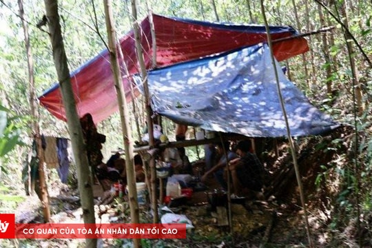 Triệt phá nhiều điểm khai thác vàng trái phép