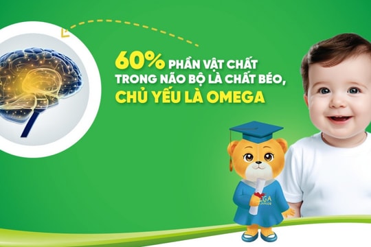 Lợi ích tuyệt vời của Omega thực vật - dưỡng chất lành cho não bộ của trẻ