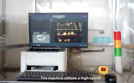 Chuyển đổi số từ tài chính tới... trái dừa: UOB tự gửi email chứa mã độc để kiểm tra nhân viên, Betrimex có hệ thống tự động đếm hàng chục trái dừa mỗi giờ, không cần kiểm lại