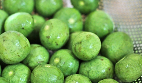 Sấu mua về nên cạo vỏ hay không cạo vỏ trước khi trữ đông và các món ngon mix cùng quả sấu