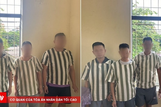 Bắt thêm 9 đối tượng trong đường dây cá độ hơn 100 tỉ đồng