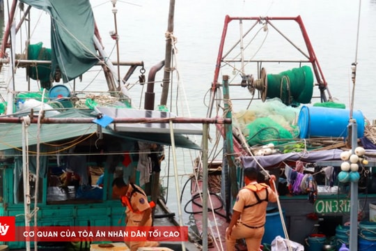 Bắt giữ 2 tàu đánh bắt thủy sản trái phép trên Vịnh Hạ Long