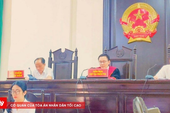 12 bị cáo trong đường dây làm giả con dấu, tài liệu lĩnh án