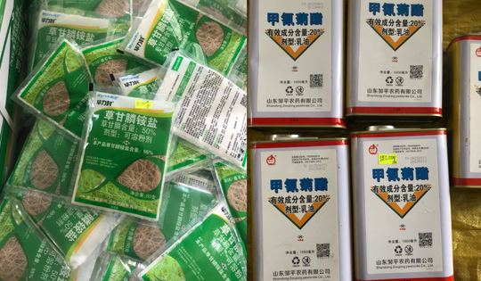 Thuốc bảo vệ thực vật không có trong danh mục được sử dụng, tiểu thương vẫn công khai bày bán
