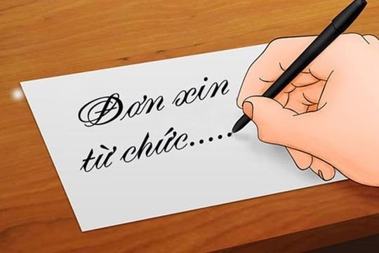 Làn sóng ồ ạt từ chức của Chủ tịch, TGĐ: Vinaconex, Hà Đô, TTC Land… đến Lộc Trời, Dược Cửu Long, Dược Hậu Giang