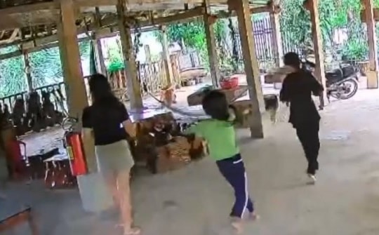 Động đất rung lắc các tỉnh miền Trung, Tây Nguyên