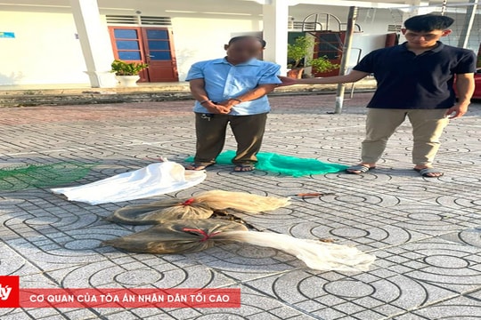 Khởi tố đối tượng mua bán rắn hổ chúa thuộc loại nguy cấp, quý hiếm