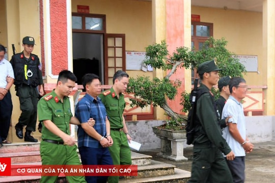 Bắt tạm giam 3 cán bộ xã vi phạm quản lý, sử dụng đất tại Cồn Xanh
