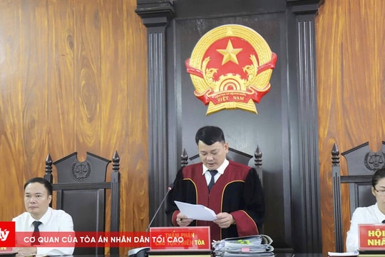 Người đàn ông bị phạt 171 triệu đồng, 4 năm tù vì phá rừng