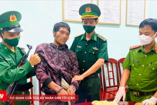 Giấu ma túy trong quả dứa để vận chuyển qua biên giới