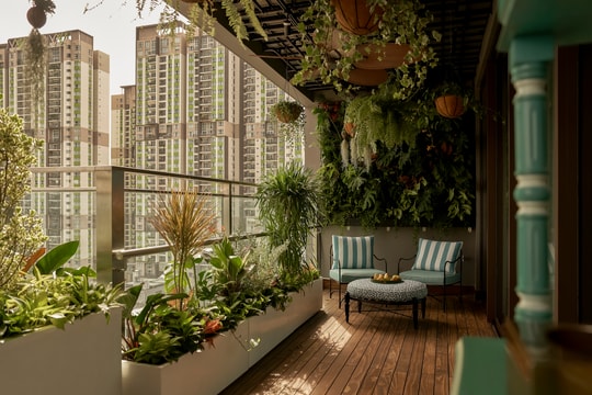 Căn hộ lấp bể bơi làm 'khu vườn nhiệt đới trên không'