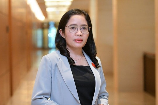 Bổ nhiệm Phó Trưởng Đoàn ĐBQH tỉnh giữ chức Giám đốc Sở