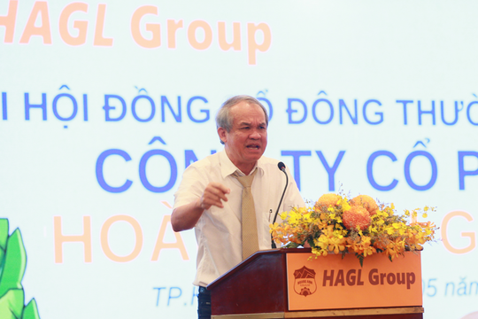 Hoàng Anh Gia Lai lãi gấp 3 lần trong quý 2/2024, lỗ luỹ kế giảm xuống dưới 1.000 tỷ, trồng thêm gần 450ha sầu riêng