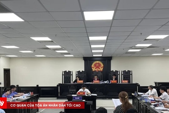 Sắp mở lại phiên tòa xét xử cựu Chủ tịch Vimedimex và đồng phạm