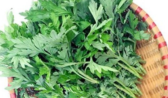 Biện pháp hóa giải cơn nhức đầu, đau khớp do thời tiết cuối mùa hạ