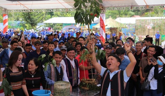 Bán đấu giá sâm Ngọc Linh ủng hộ quỹ xóa nhà tạm