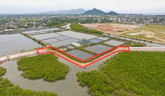 Lý do dự án xử lý cấp bách hơn 180 tỷ làm kiểu 'rùa bò'