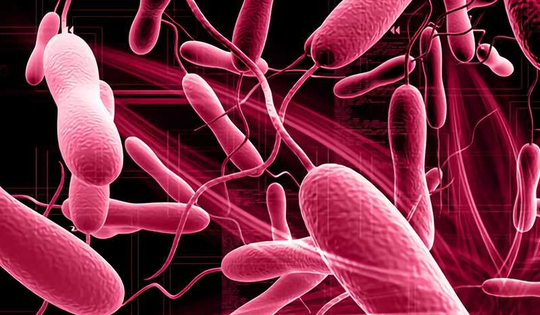 4 bệnh nhiễm trùng lây qua ăn uống thường gặp mùa mưa lũ