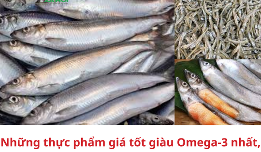 Thực phẩm giá tốt giàu Omega-3 nhất bạn nên ăn thường xuyên