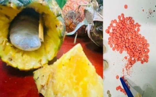 Bắt người nước ngoài "ôm" 5 quả dứa gai qua biên giới, phát hiện điều không ngờ