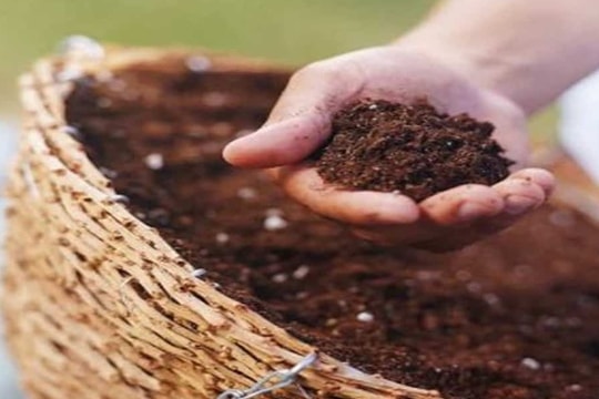 Thắng kiện, một công ty phân bón trên sàn tiếp tục kiện đối tác đòi bồi thường thêm chi phí đã đầu tư trên đất