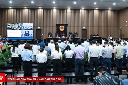 Vụ án tại FLC: Nhiều bị cáo được hưởng án treo