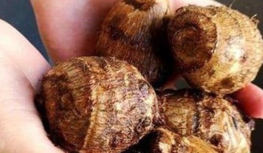 Mẹo tránh ngứa tay khi gọt khoai sọ