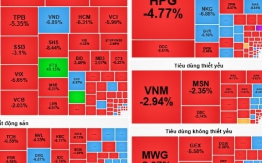 Lao dốc không phanh phiên đầu tháng cô hồn, điều gì đang xảy ra với TTCK Việt Nam?