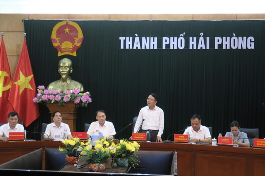 Hải Phòng: Chủ tịch quận, huyện chịu trách nhiệm nếu để sốt xuất huyết lan rộng